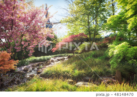 Spring landscape. Nature in blossom Spring landscape. Nature in blossom 48148470