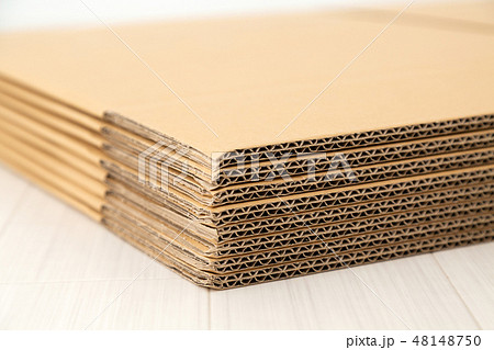 ダンボール ダンボール 48148750