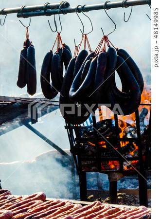 different types of meats and sausages  48149985