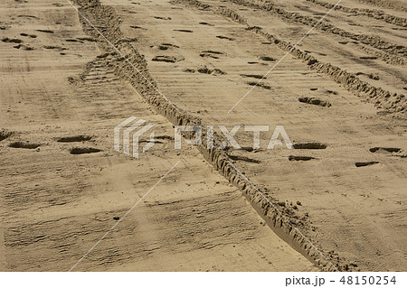 Footprints on the beach sand. 48150254