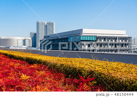 豊洲市場屋上から見える風景 屋上緑化広場 豊洲市場屋上から見える風景 屋上緑化広場 48150444