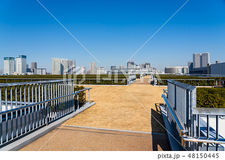 豊洲市場屋上から見える風景 屋上緑化広場 豊洲市場屋上から見える風景 屋上緑化広場 48150445