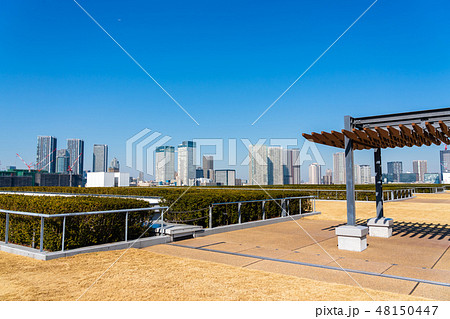豊洲市場屋上から見える風景 屋上緑化広場 豊洲市場屋上から見える風景 屋上緑化広場 48150447