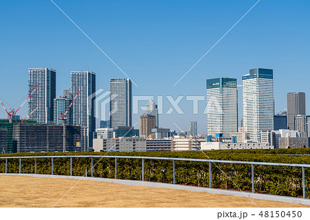 豊洲市場屋上から見える風景　屋上緑化広場 48150450