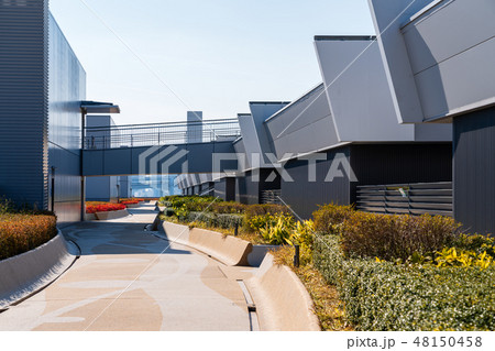 豊洲市場屋上から見える風景 屋上緑化広場 豊洲市場屋上から見える風景 屋上緑化広場 48150458
