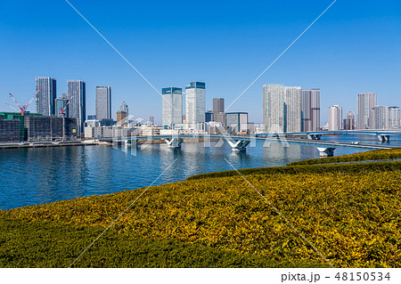 豊洲市場屋上から見える風景　屋上緑化広場 48150534