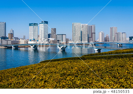 豊洲市場屋上から見える風景 屋上緑化広場 豊洲市場屋上から見える風景 屋上緑化広場 48150535