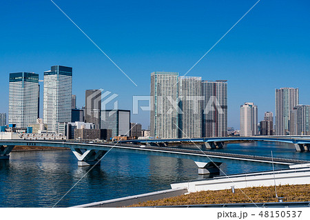 豊洲市場屋上から見える風景 屋上緑化広場 豊洲市場屋上から見える風景 屋上緑化広場 48150537