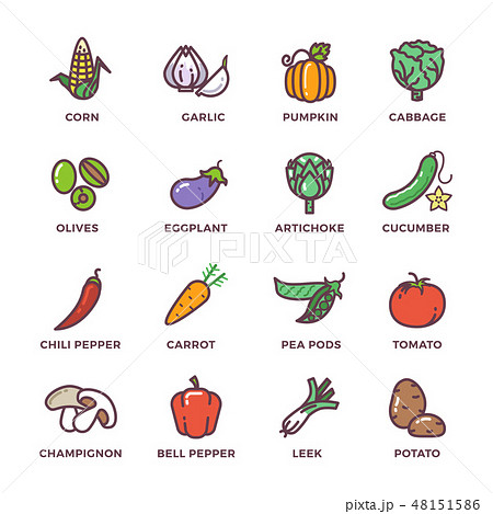 Vegetables vegan raw food colored vector icons set Vegetables vegan raw food colored vector icons set 48151586