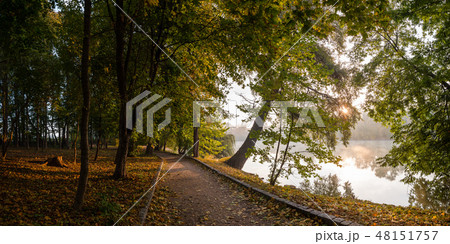 Sunny path in autumn park Sunny path in autumn park 48151757