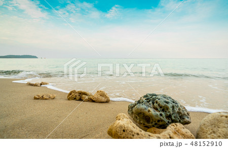 Corals on sand beach by the sea with blue sky 48152910