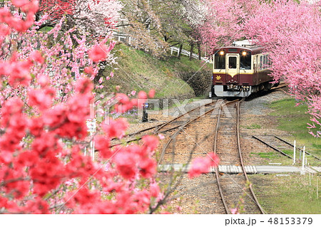 わたらせ渓谷鐵道「花満開の神戸駅から見た風景」 48153379