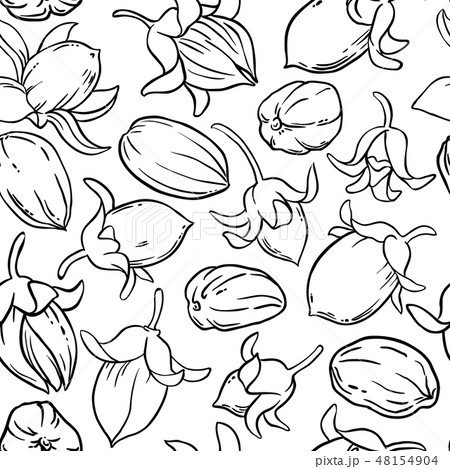 jojoba vector pattern 48154904