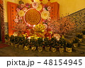 中国の猪年 48154945