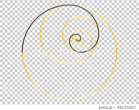 黄金比 金色グラデーションの円のイラスト素材 48155007 Pixta