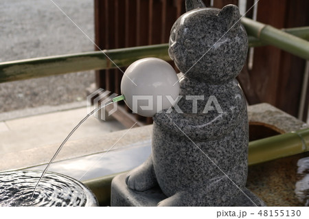 猫の噴水 猫の噴水 48155130