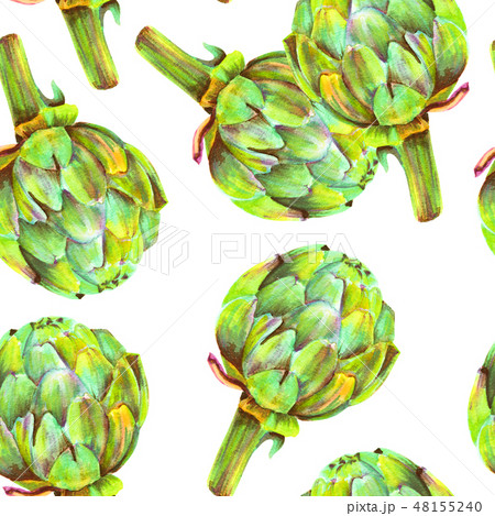 A seamless pattern of watercolor artichokes on a white background, a vegan repeat print A seamless pattern of watercolor artichokes on a white background, a vegan repeat print 48155240