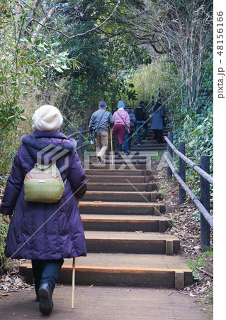 猿島 さるしま 無人島 神奈川県　横須賀市　散策　観光　階段 48156166
