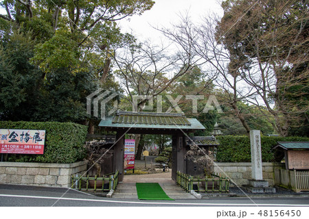 滋賀県　長浜盆梅展　慶雲館の門 48156450