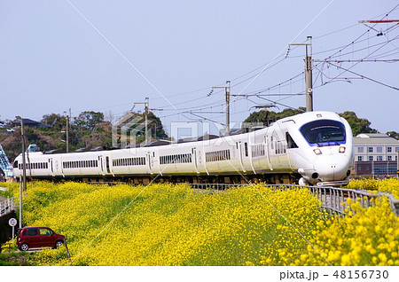 885系・白いかもめ～肥前大浦付近は菜の花の絨毯～ 48156730