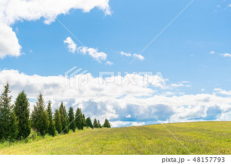 美瑛の丘風景 / 北海道観光イメージ 美瑛の丘風景 / 北海道観光イメージ 48157793
