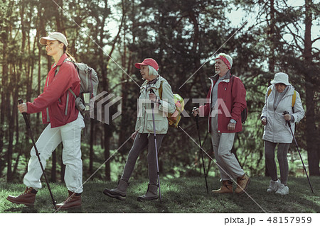 Tourists walking in the forest using trekking poles Tourists walking in the forest using trekking poles 48157959