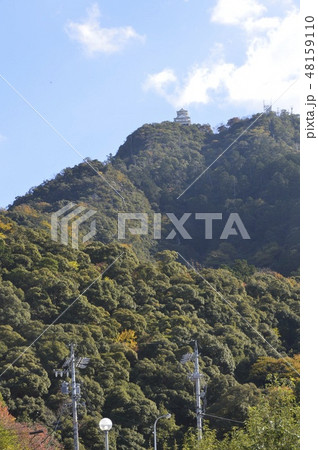 金華山･岐阜城（岐阜県岐阜市） 48159110