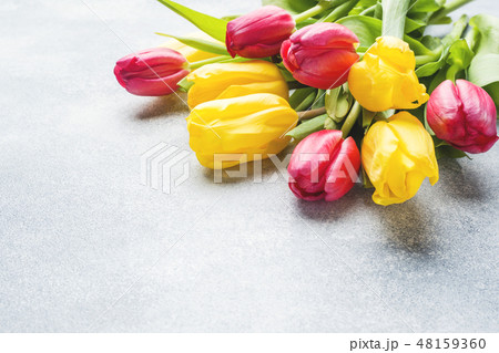 Bouquet of yellow and pink tulips on a light blue Bouquet of yellow and pink tulips on a light blue 48159360