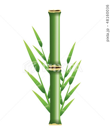 Bamboo trunk with leaves design 48160036