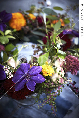フラワーアレンジメント 48160210