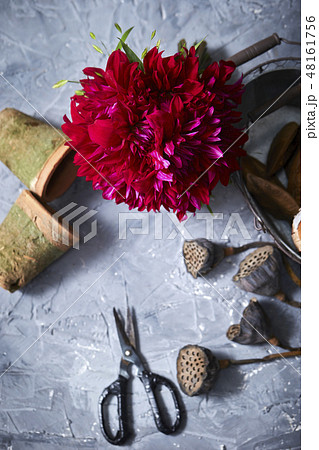 ピンクのブーケと園芸用品　ガーデニングイメージ 48161756