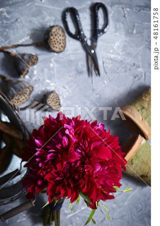 ピンクのブーケと園芸用品 ガーデニングイメージ ピンクのブーケと園芸用品 ガーデニングイメージ 48161758