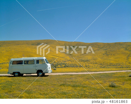 アメリカ　一面の花とワーゲンバス 48161863