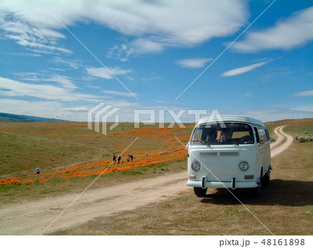 アメリカ 一面のカリフォルニアポピーと白いワーゲンバス アメリカ 一面のカリフォルニアポピーと白いワーゲンバス 48161898