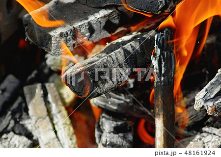 Firewood and flame 48161924
