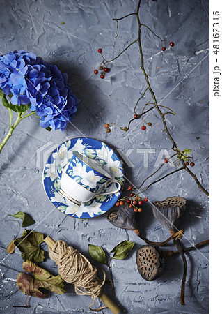 紫陽花とコーヒーカップ　ライフスタイルイメージ 48162316