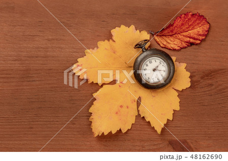 A vintage watch with autumn leaves, shot from above on a dark rustic wooden background with copy 48162690