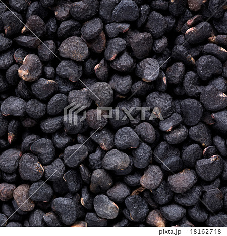 High quality seeds of datura, flower in a texture form for your personal garden. Can be used by seed High quality seeds of datura, flower in a texture form for your personal garden. Can be used by seed 48162748
