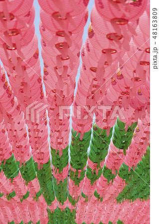 カラフルな提灯　韓国の祝祭 48163809