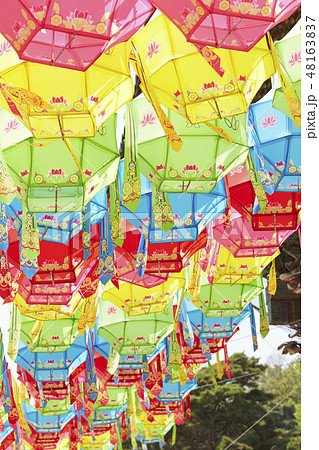 韓国の燃灯祝祭 ランタンフェスティバル カラフルな色提灯 韓国の燃灯祝祭 ランタンフェスティバル カラフルな色提灯 48163837