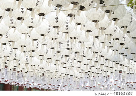 韓国の燃灯祝祭 ランタンフェスティバル 韓国の燃灯祝祭 ランタンフェスティバル 48163839