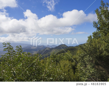 view point in anaga mountain sharp peaks with green cypress bush and blue sky white clouds 48163905