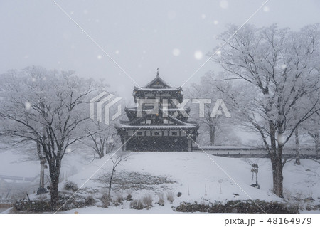 高田城160 高田城160 48164979