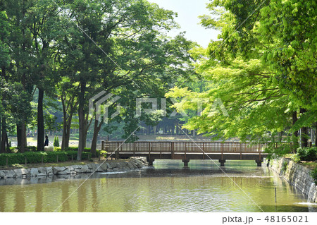 茨城県つくば市 洞峰公園 茨城県つくば市 洞峰公園 48165021