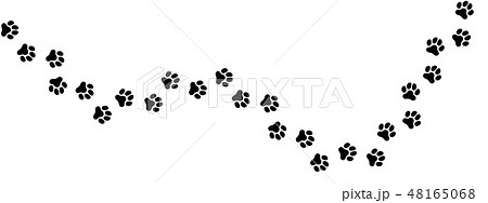 犬の足跡 Paw Prints Of Dog Vector Illustration のイラスト素材