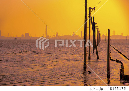 【江川海岸】 48165176