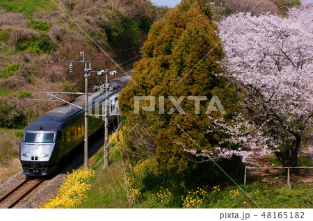 春爛漫、桜と787系・特急かもめ 48165182