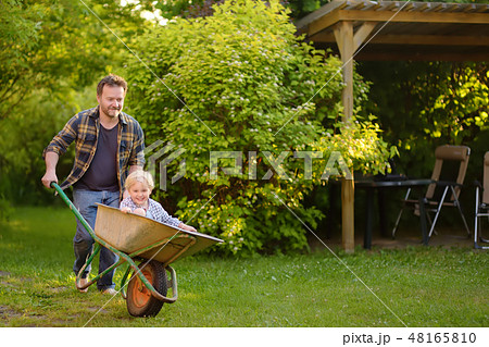 Boy having fun in a wheelbarrow pushing by dad Boy having fun in a wheelbarrow pushing by dad 48165810
