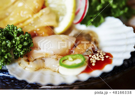 ホタテとホヤの刺身 48166338