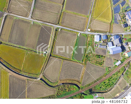 冬枯れの田園地帯〜ドローンで空撮（徳島県板野町） 48166732